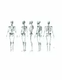 Images/skelly.jpg