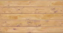 img/photoPage/background.jpg