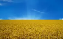 flag.jpg