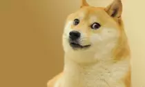 Images/doge.jpg