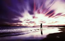 images/04.jpg