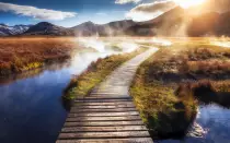 images/06.jpg