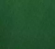 green_parch.jpg