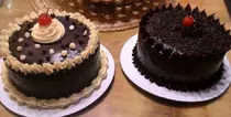 cakes and pastries/Wix Cover.png