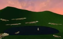 Tiktaalik lake.jpg