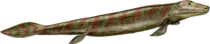 tiktaalik.png