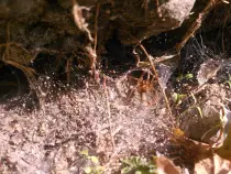 static/stepnaya_kobylka/20160925_006.jpg