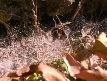 static/stepnaya_kobylka/20160925_007.jpg