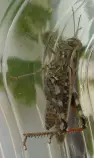 static/stepnaya_kobylka/must_be_together/20160807_024.jpg