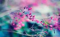 obligatorio_m2/header1.jpg