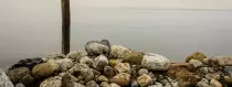 Tabs/1.jpg