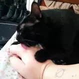 cleaning.jpg