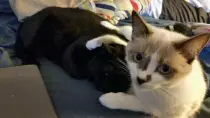 cuddles.jpg