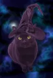 frown_witchcat.png