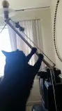 hunting.jpg