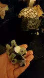 koala_killer.jpg