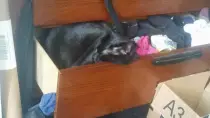 nap.jpg