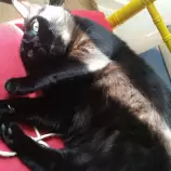 sunbeam.jpg