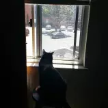window.jpg