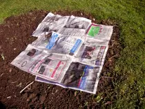 web10conference_version_files/newspaper.jpg