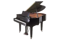 examen/piano.gif