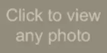 petoskeycounseling/lib/click.gif