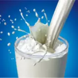 images/milk_cropped.jpg