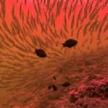 images/ocean.jpg