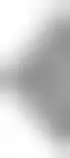 images/backgrounds/a.jpg
