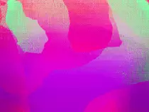 images/portfolio4.gif