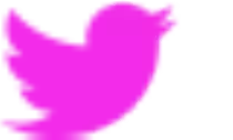 images/twitter.png