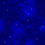 back0009.gif