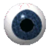 eyeball.gif