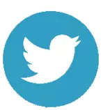 twitter_icon.png