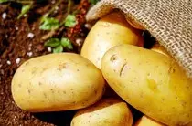 image/potatoes.jpeg