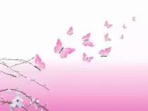 pink.jpg