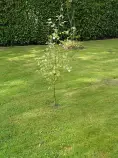 boulot01.jpg