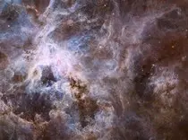 Images/Nebulae/Tarantula Nebula/tarantula nebula 2.jpg