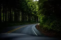 Images/Portland:Seattle/oregonroad.jpeg