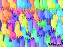 images/193036456_1953069.gif