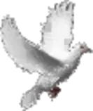 patitos/paloma2.gif
