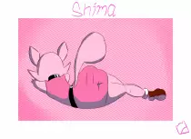shima.png