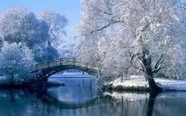 images/img1.jpg