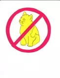 no-cats-allowed.jpg