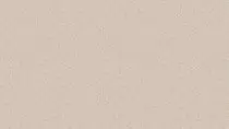 img/bg/paper_creme.jpg