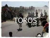 img/3190-villavieja-de-yeltes-encierro-a-caballo.jpg
