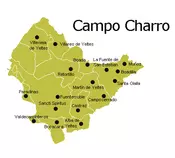 img/campocharro.png