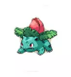 ivy.jpg
