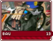 bau13.png