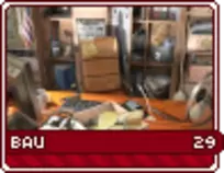 bau29.png